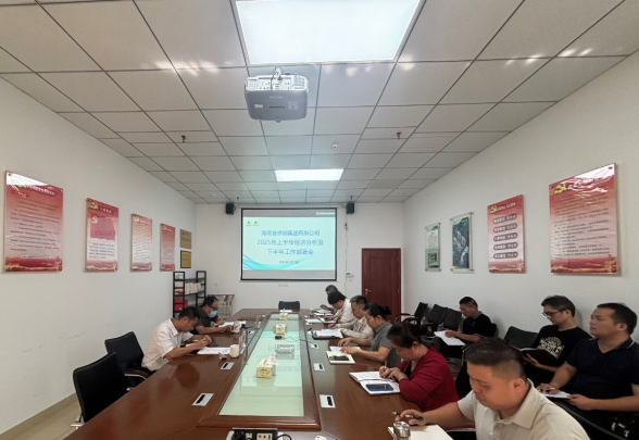 海南省供銷集團(tuán)召開2025年上半年經(jīng)濟(jì)分析會(huì) 部署下半年重點(diǎn)工作
